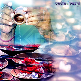 vedic vaani™ pitra dosha nivaran puja