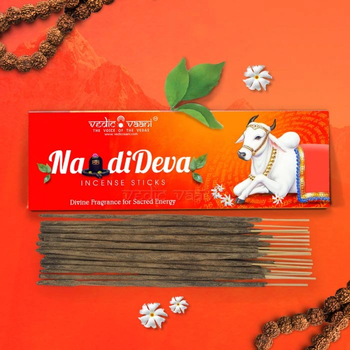 Nandideva Incense Sticks-100-1