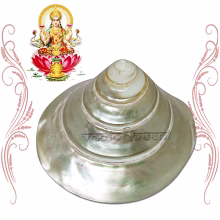 vedic vaani™ laxmi shankh