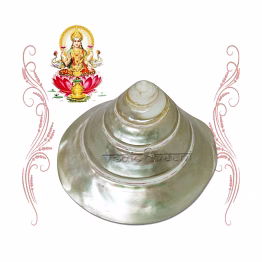 vedic vaani™ laxmi shankh