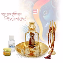 shiva banalingam puja archana set with trishul by vedic vaani™