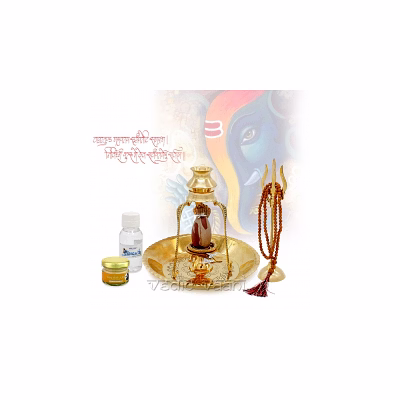 shiva banalingam puja archana set with trishul by vedic vaani™