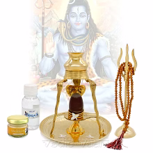 narmada shivalingam with abhishek set in brass by vedic vaani