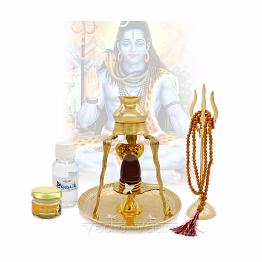 narmada shivalingam with abhishek set in brass by vedic vaani