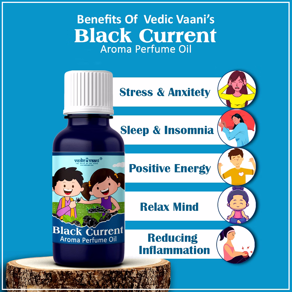 Vedic Vaani  Blue Berry Aroma Perfume Oil image 3