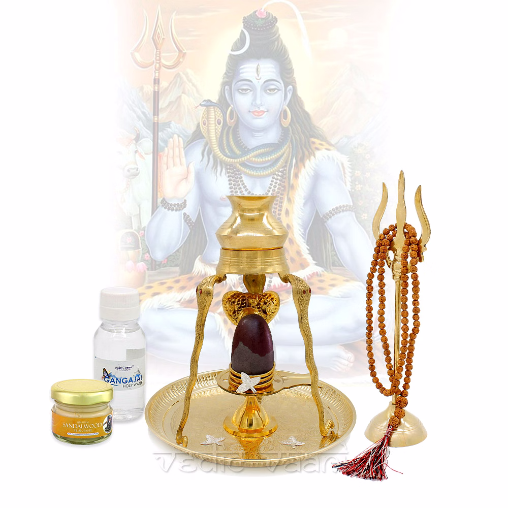 Narmada Shivalingam with Abhishek Set in Brass by Vedic Vaani image 2