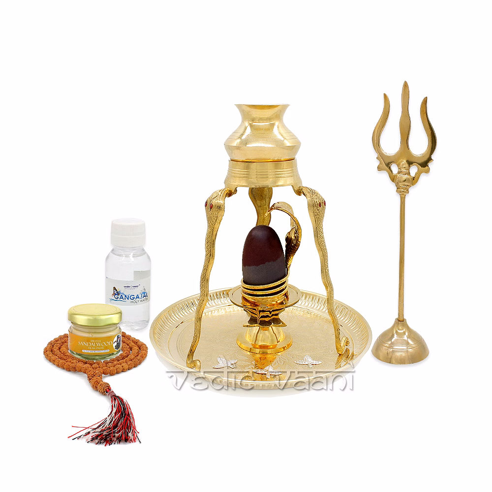 Narmada Shivalingam with Abhishek Set in Brass by Vedic Vaani image 3