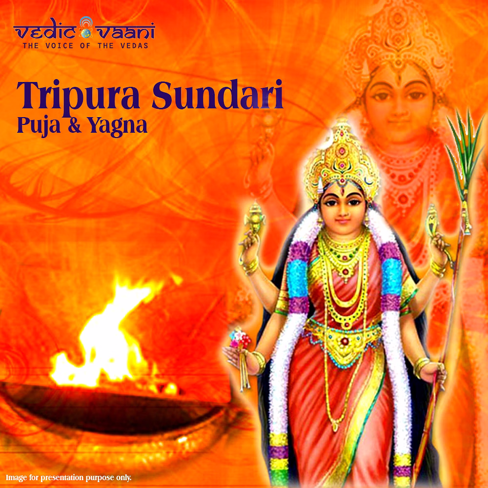 Tripur Sundari Puja and Yagna image 3