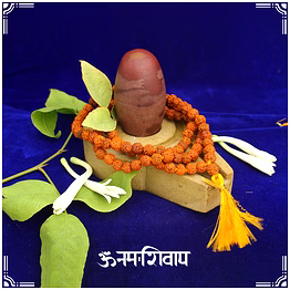 narmada lingam with yonibase in pure silver by vedic vaani™
