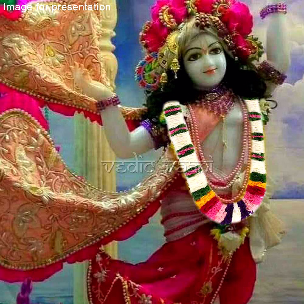 Mala Ji Chabeeje Gadijee - Set of 4 image 3