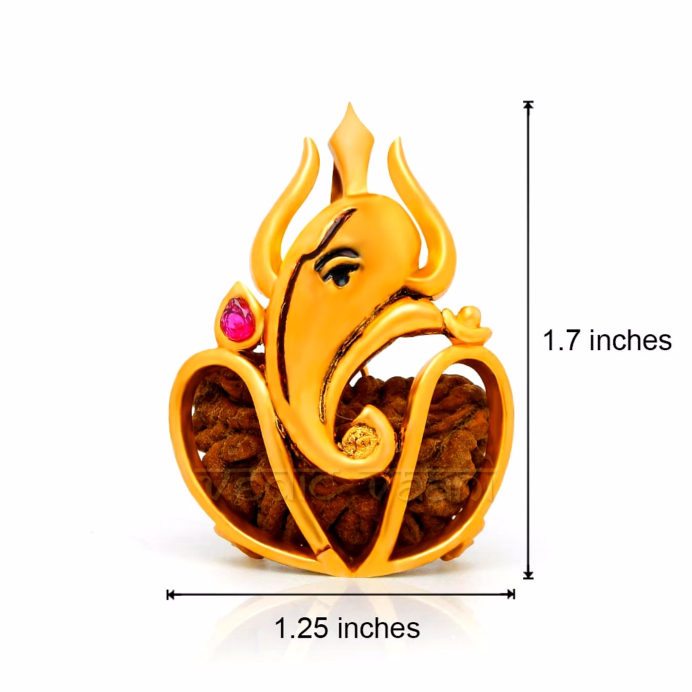 One (1) Mukhi Rudraksha with Lord Ganesh Locket image 2