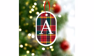 Checkered Print Ornaments-Mix