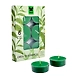 Iris Aroma Wax Candles Green, Set of 6-16567-sm