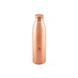 Aayu Copper Bottle (650 ML)-37033-sm