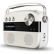 Saregama Carvaan Hindi - Portable Music Player with 5000 Preloaded Songs, FM/BT/AUX (Porcelain White)-1-sm