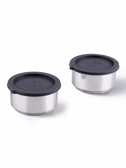 Borosil Carry Fresh Stainless Steel Insulated Lunch Box Set of 2, 280 ml Horizontal-2