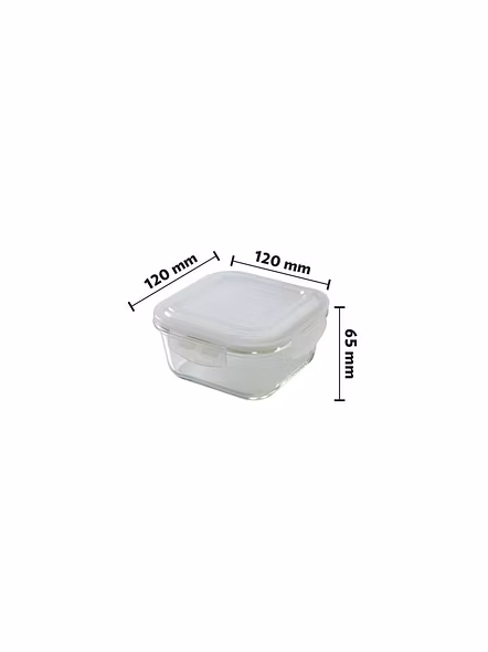 Borosil Glass Lunch Box Set of 2, 320 ml, Vertical, Microwave Safe Office Tiffin-2