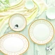 Cello Royale Amber Gold Opalware 27pieces Dinner Set/White-2-sm