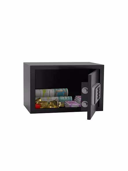 GODREJ SAFE NX PRO GRY 8L
