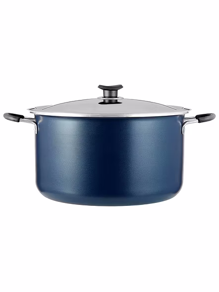 VINOD BIRAYAN POT ZBP 32CM 4M