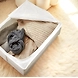 Foldable Fabric Storage Box with Lid – White-1-sm
