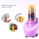 Wonderchef Magneto Blender – Purple (600ml)-5-sm
