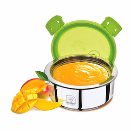 NanoNine Insulock Stainless Steel Double Wall Insulated Small Containers Lunch Box