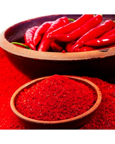 Indian Red Chilli-5