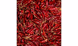 Indian Red Chilli