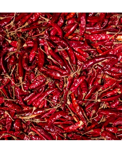 Indian Red Chilli-12670839