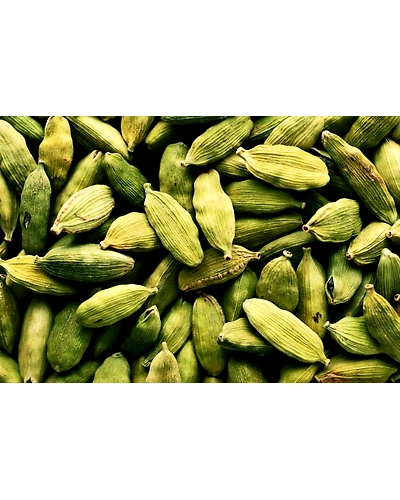Cardamom-1