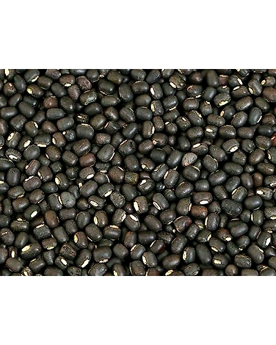 Black Urad Dal-An01
