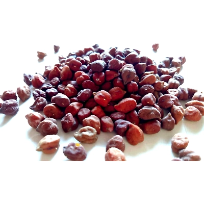 Anjaney Desi Chana