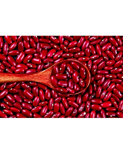 Rajma-An03