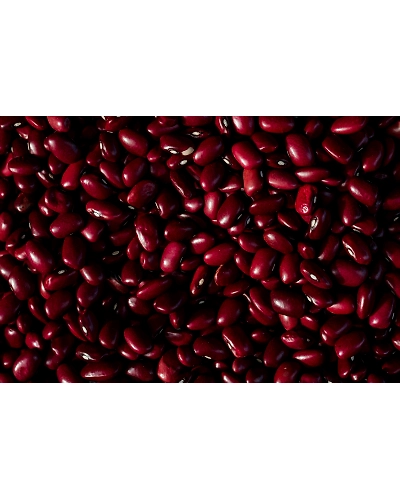 Rajma-1