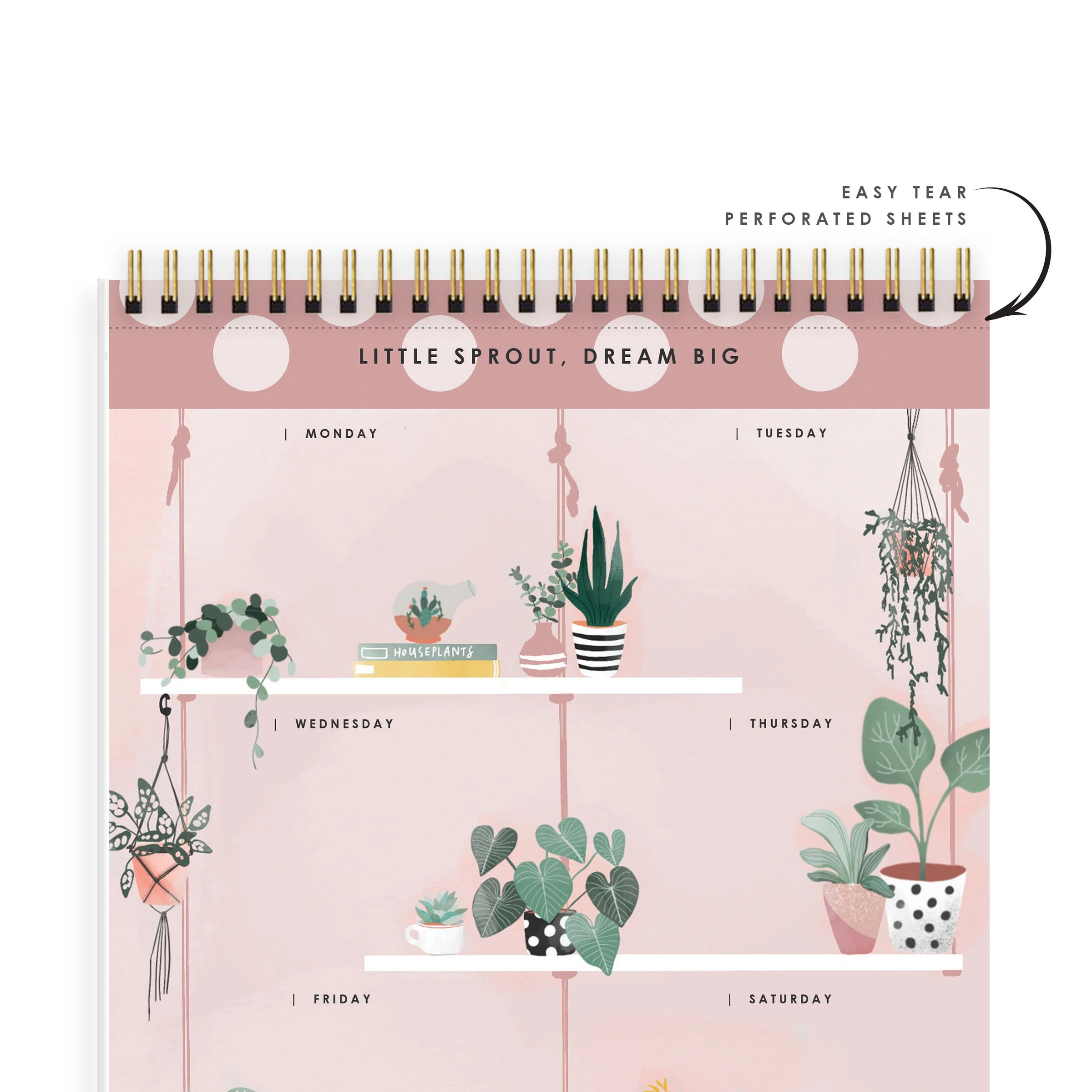 WEEKLY PLANNER - LITTLE SPROUT, DREAM BIG - Water Your Dreams-2