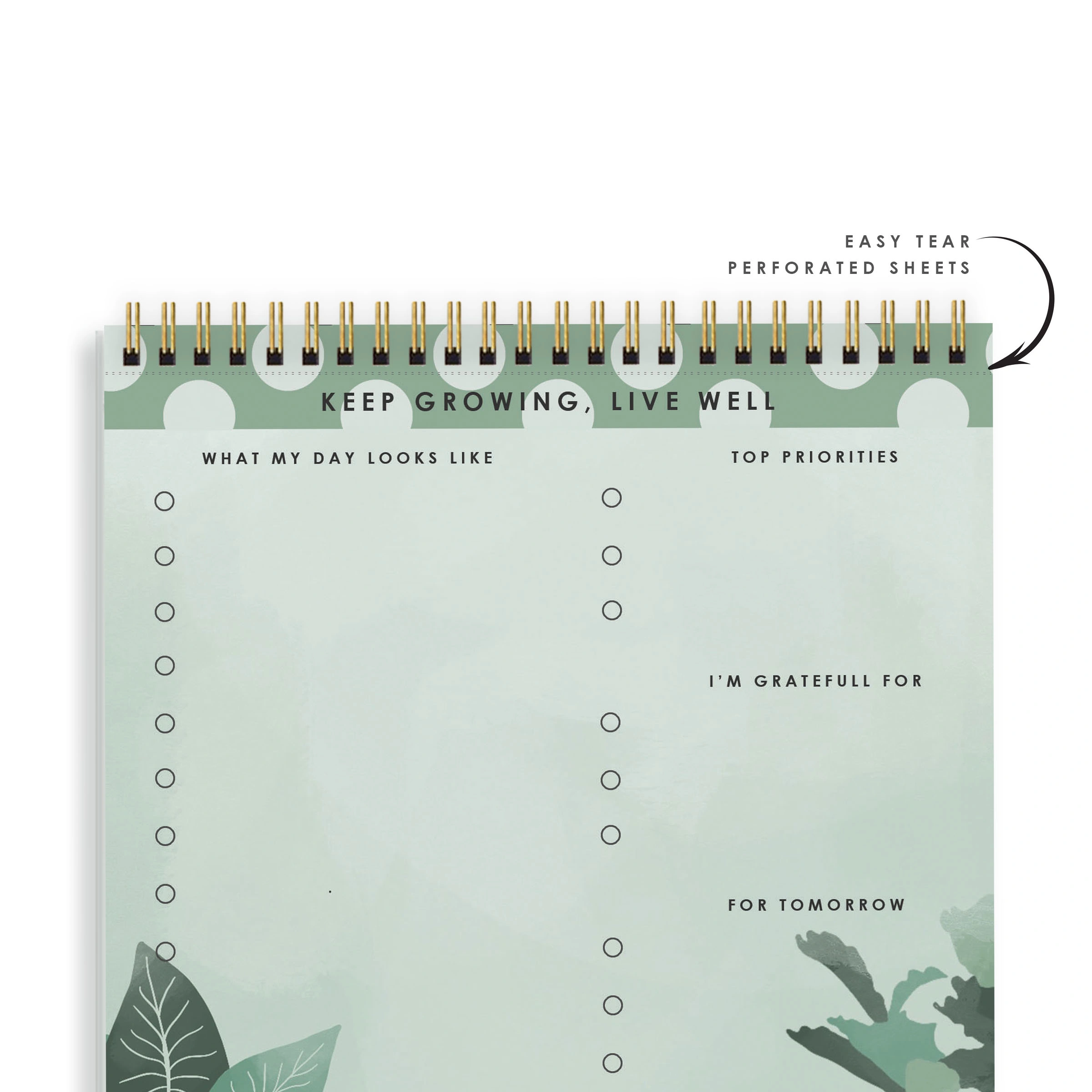 DAILY PLANNER- KEEP GROWING LIVE WELL- Water Your Dreams-2