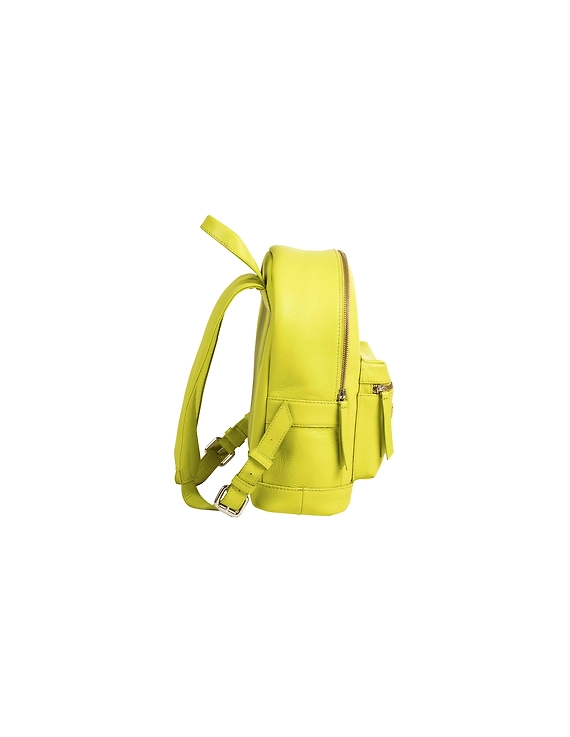 Yega Backpack (Lemon Green)-1