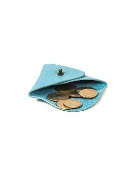 Conifer Coin Purse (Sky Blue)-1-sm