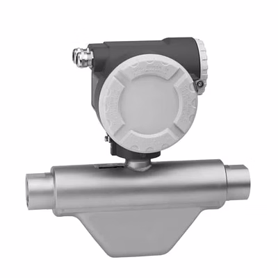 shakti power solutions endress+hauser brass cng mass - coriolis flowmete, for automotive, gas