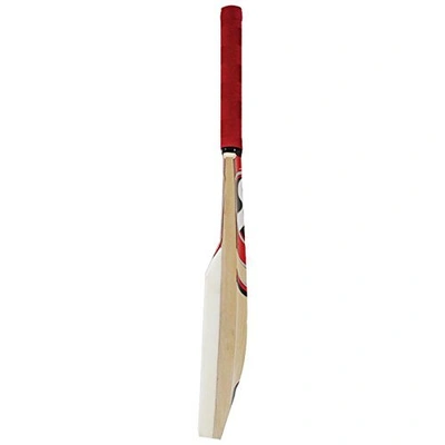 SG CATCH BAT. CRICKET ACCESSORIES (Colour may vary)-3558