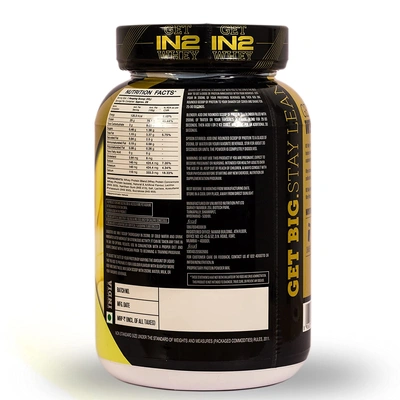 IN2 WHEY PROTEIN 908GMS WHEY PROTIEN BLEND-BANANA-908 g-28-4
