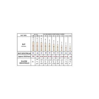 Dsc Condor Flicker Kashmir Willow Cricket Bat-4-1 Unit-1