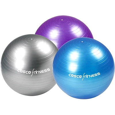 Cosco Cos Gym Ball Gym Ball-1102