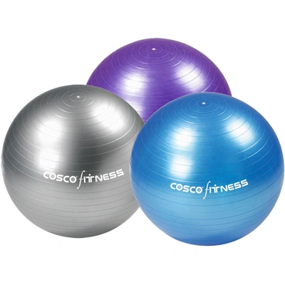 Cosco Cos Gym Ball Gym Ball-797