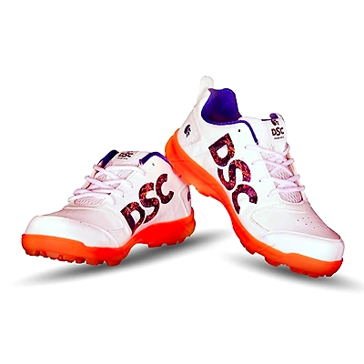 Dsc Beamer Cricket Shoes (colour May Vary)-1061