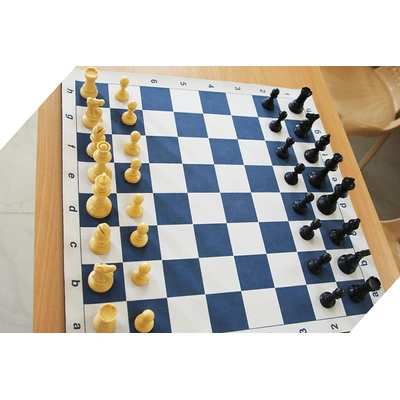 Speedy Heavy Chess Coins-221