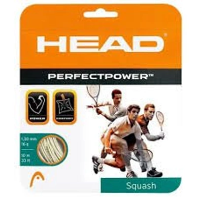 Head Perfect Power Squash String 17L-10177
