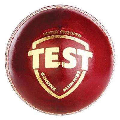 Sg Test Leather Cricket Ball-315