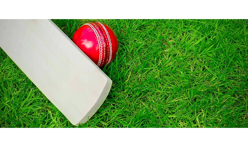 Cricket Gear Buying Guide